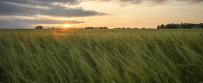 Kemerovo : magánrepülőgép bérlés