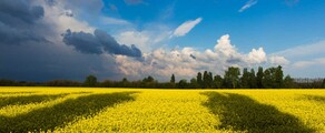 Khmelnitsky : magánrepülőgép bérlés