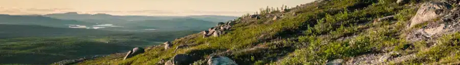 Kiruna : magánrepülőgép bérlés