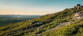 Kramfors Solleftea : magánrepülőgép-kölcsönzés