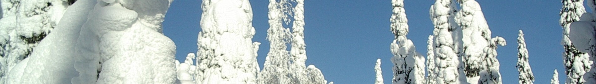 Kuusamo : magánrepülőgép bérlés 