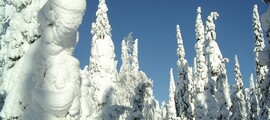 Kuopio : magánrepülőgép bérlés 