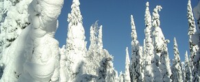 Kuusamo : magánrepülőgép bérlés 