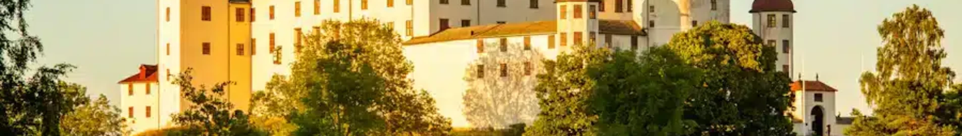 Lidkoping : magánrepülőgép bérlés