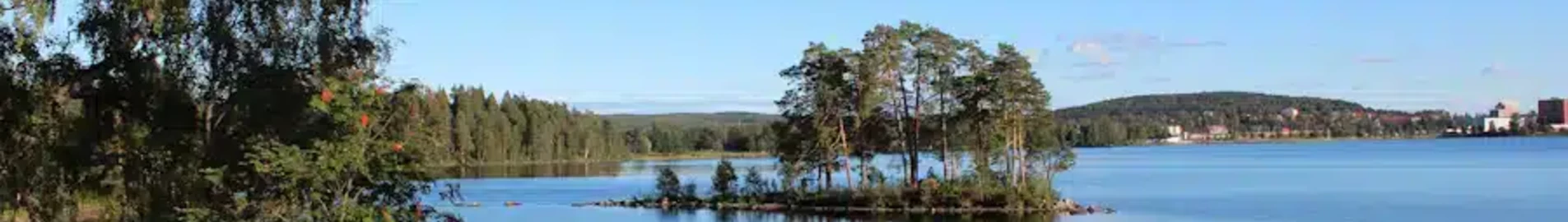 Ludvika: magánrepülőgép bérlés