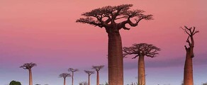 Madagaszkár: Magánrepülőgép-bérlés
