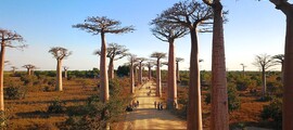 Madagaszkár : Magánrepülőgép bérlés