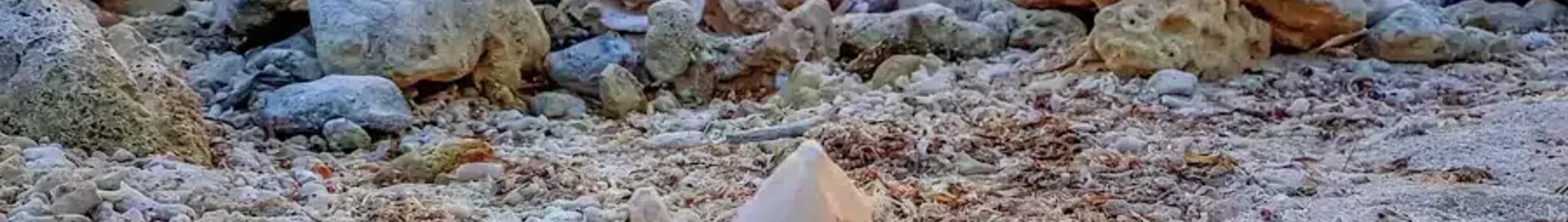 Mustique : magánrepülőgép bérlés