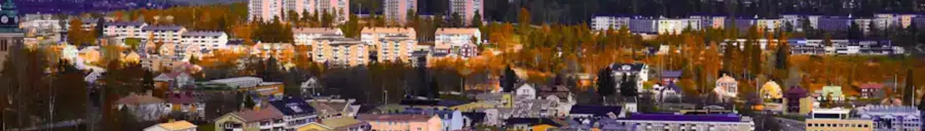 Ornskoldsvik : magánrepülőgép-kölcsönzés