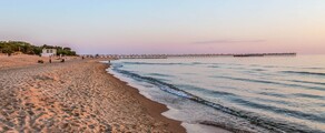 Palanga : magánrepülőgép bérlés 