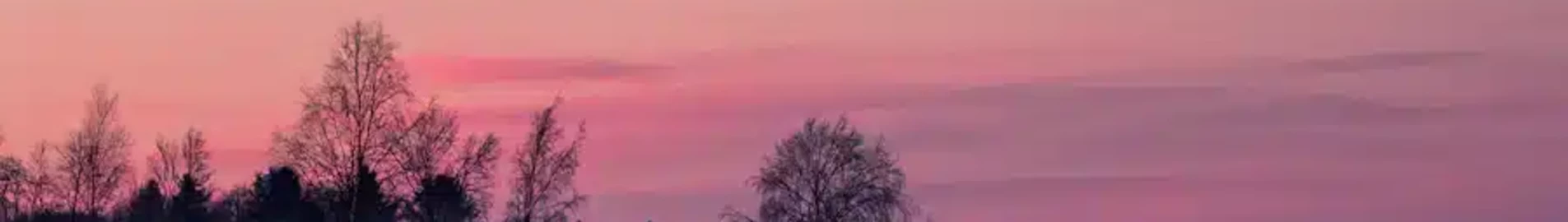 Pitea : magánrepülőgép bérlés
