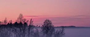 Pitea : magánrepülőgép bérlés