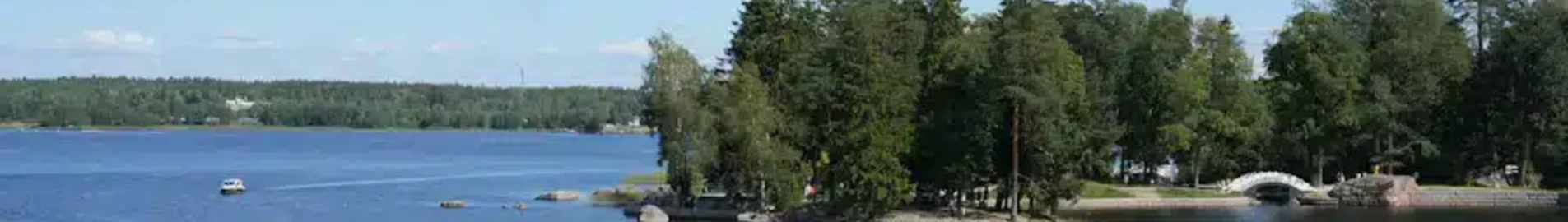 Platov: magánrepülőgép bérlés