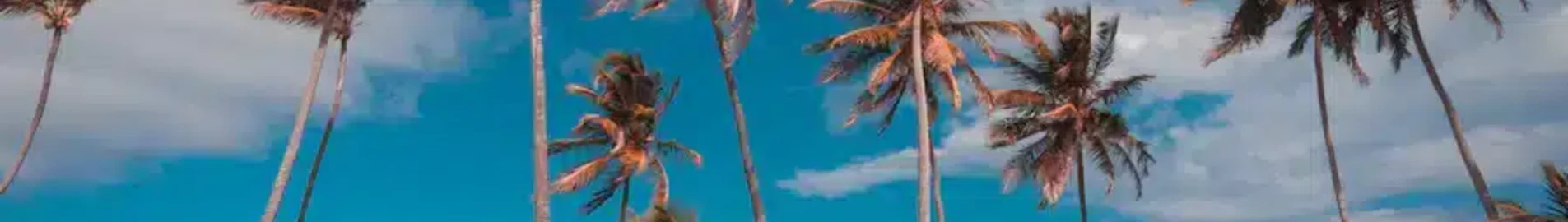 Punta Cana: magánrepülőgép bérlés
