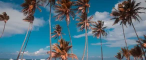 Punta Cana: magánrepülőgép bérlés