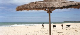 Madagaszkár : Magánrepülőgép bérlés