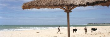 ambilobe: location de jet privé