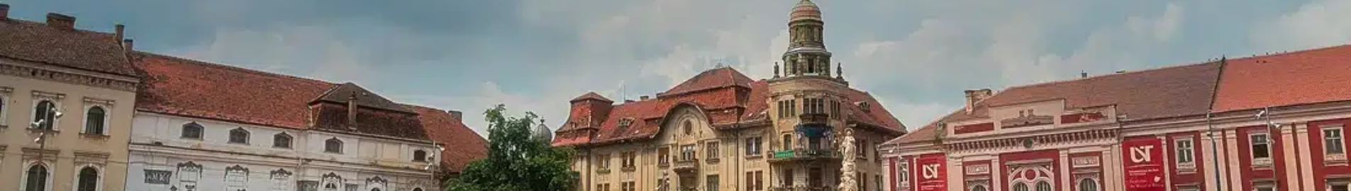 Satu Mare: magánrepülőgép bérlés
