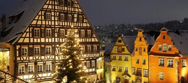 Bremgarten: magánrepülőgép bérlés 