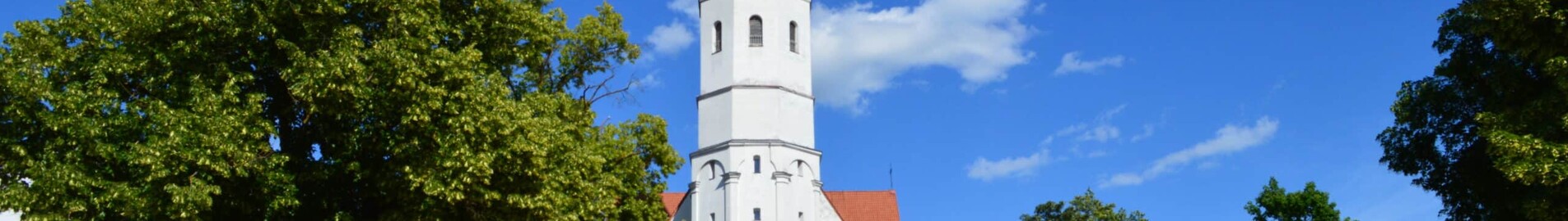 Siauliai : magánrepülőgép bérlés 