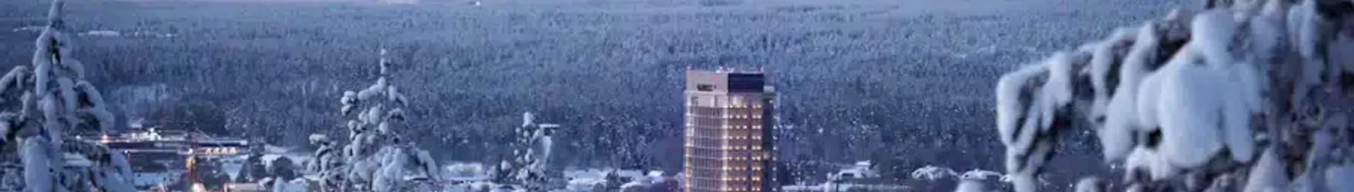 Skelleftea : magánrepülőgép bérlés