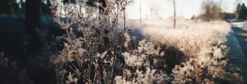 Alphonse - location de jet privé