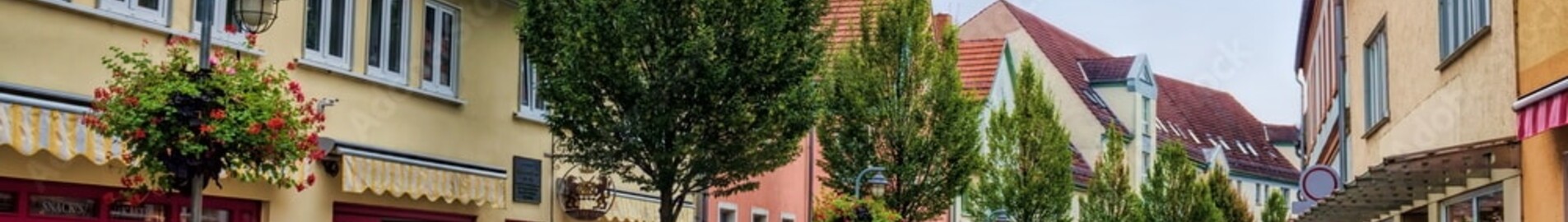 Sommerda : magánrepülőgép bérlés 