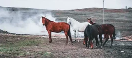 Szentpétervár: magánrepülőgép bérlés 