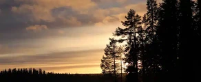 Stromsund Hallviken : magánrepülőgép-kölcsönzés