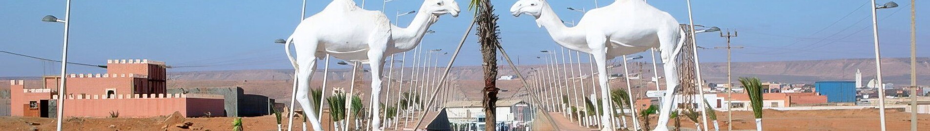 Tan-Tan : magánrepülőgép bérlés 