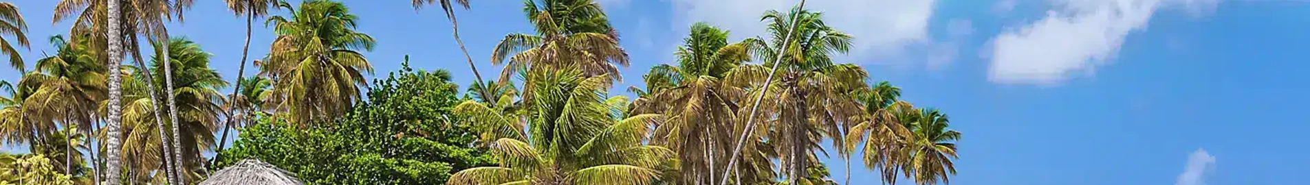 Tobago Scarborough Crown Point : magánrepülőgép-kölcsönzés 