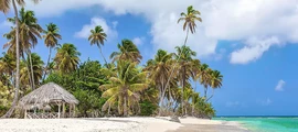 Trinidad & Tobago : Magánrepülőgép bérlés