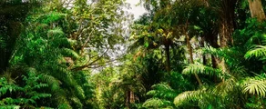 Trinidad & Tobago : Magánrepülőgép bérlés