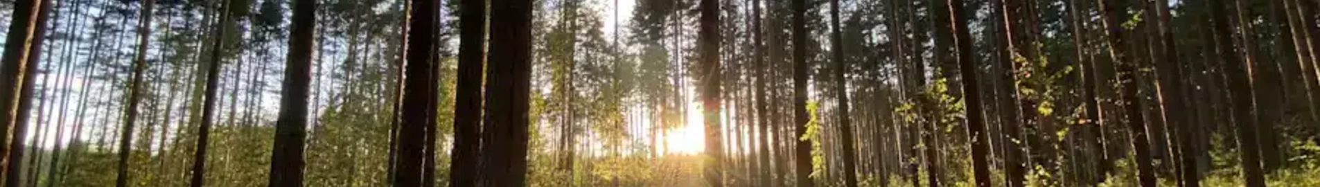 Tver Migalovo: magánrepülőgép bérlés