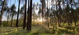 Krasznojarszk Jemelyanovo : magánrepülőgép bérlés