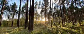 Tver Migalovo: magánrepülőgép bérlés