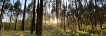 France: location de jet privé