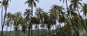 Union Island : magánrepülőgép bérlés