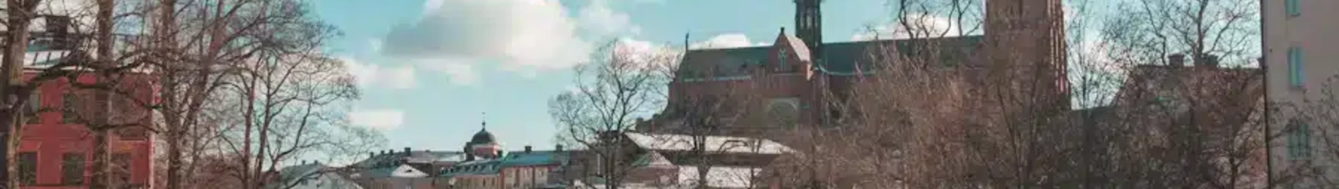 Uppsala : magánrepülőgép bérlés