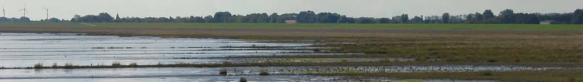 Wilhelmshaven Mariensiel : magánrepülőgép bérlés 
