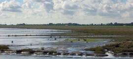 Finsterwalde Schacksdorf: magánrepülőgép bérlés 