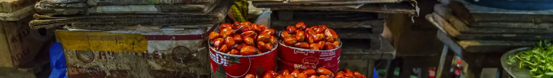 Yamoussoukro : magánrepülőgép bérlés