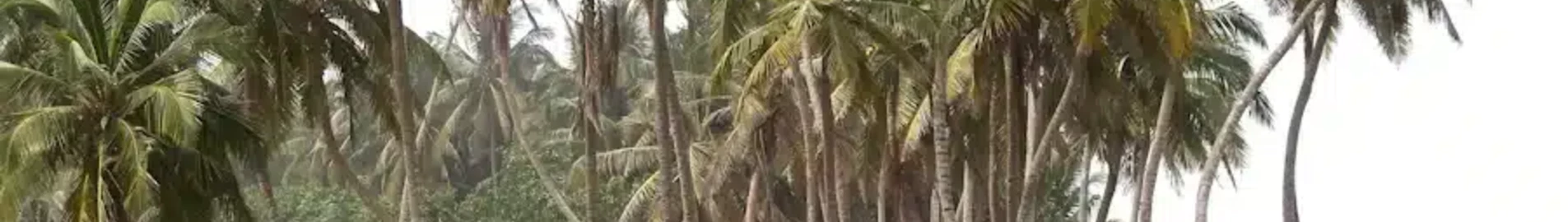 Sunyani : magánrepülőgép bérlés