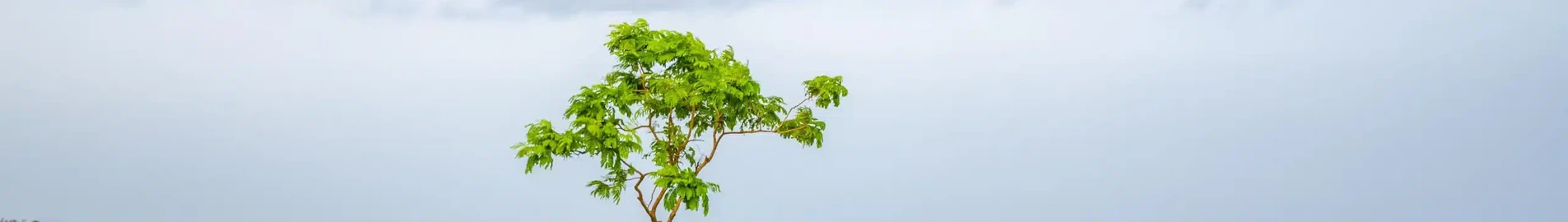 Akure: magánrepülőgép bérlés
