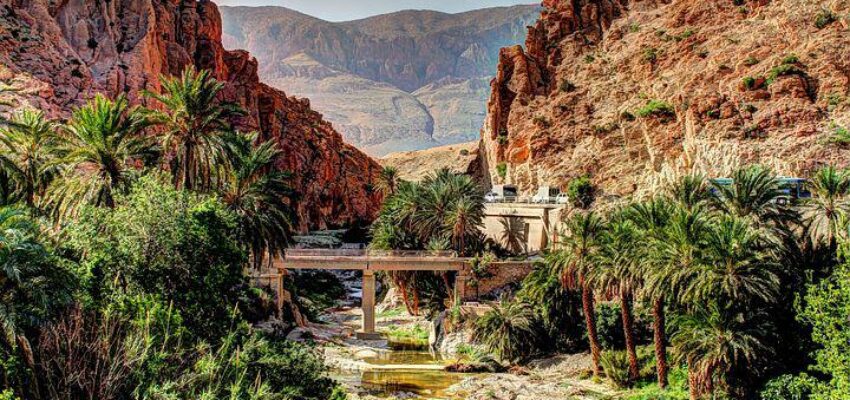 désert de biskra en Algérie