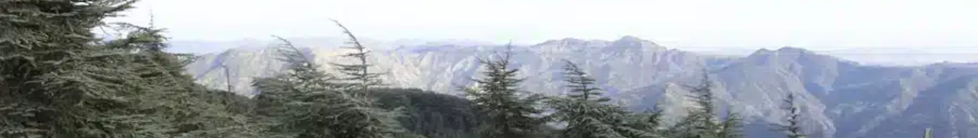 Blida: magánrepülőgép bérlés