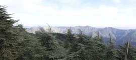Setif magánrepülőgép bérlés