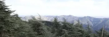 Gunnarn Storumans : location de jet privé
