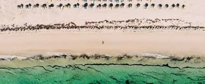 Djerba Zarzis : magánrepülőgép bérlés