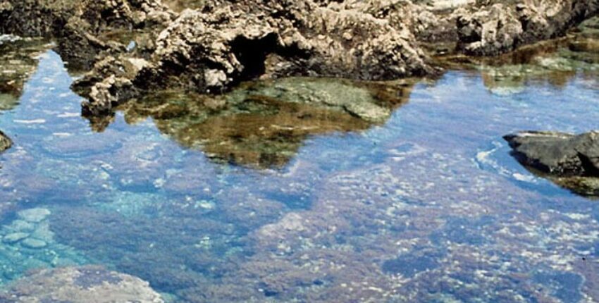 Béreljen egy magánrepülőt El Hierro repülőtér